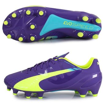 Бутсы PUMA evoSPEED 1.3 FG (Фиолетовый) 10300801