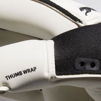 Вратарские перчатки Puma evoDISC