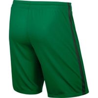 ШортыNIKE LEAGUE KNIT SHORT NB SR 725881-319 - вид 1 миниатюра