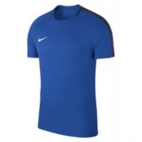 Детская футболка NIKE DRY ACDMY18 TOP SS JR 893750-463 - вид 1 миниатюра