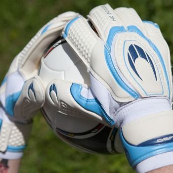 Вратарские перчатки HO SOCCER Defence Roll Finger
