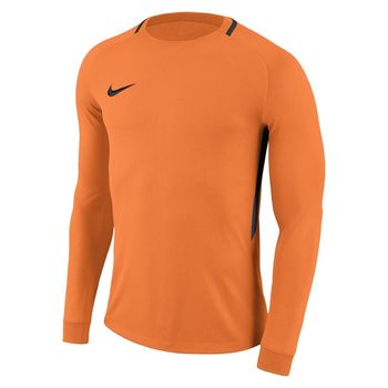 Детский вратарский свитер NIKE PARK III JSY LS GK JR