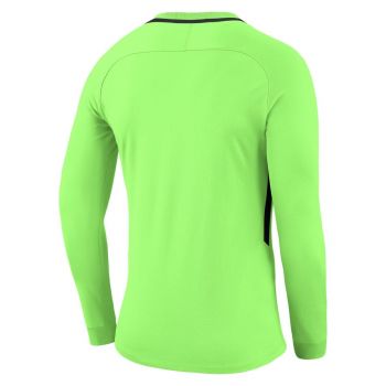 Вратарский свитер NIKE PARK III JSY LS GK SR