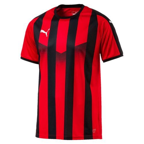 Футболка PUMA LIGA Jersey Striped 70342423
