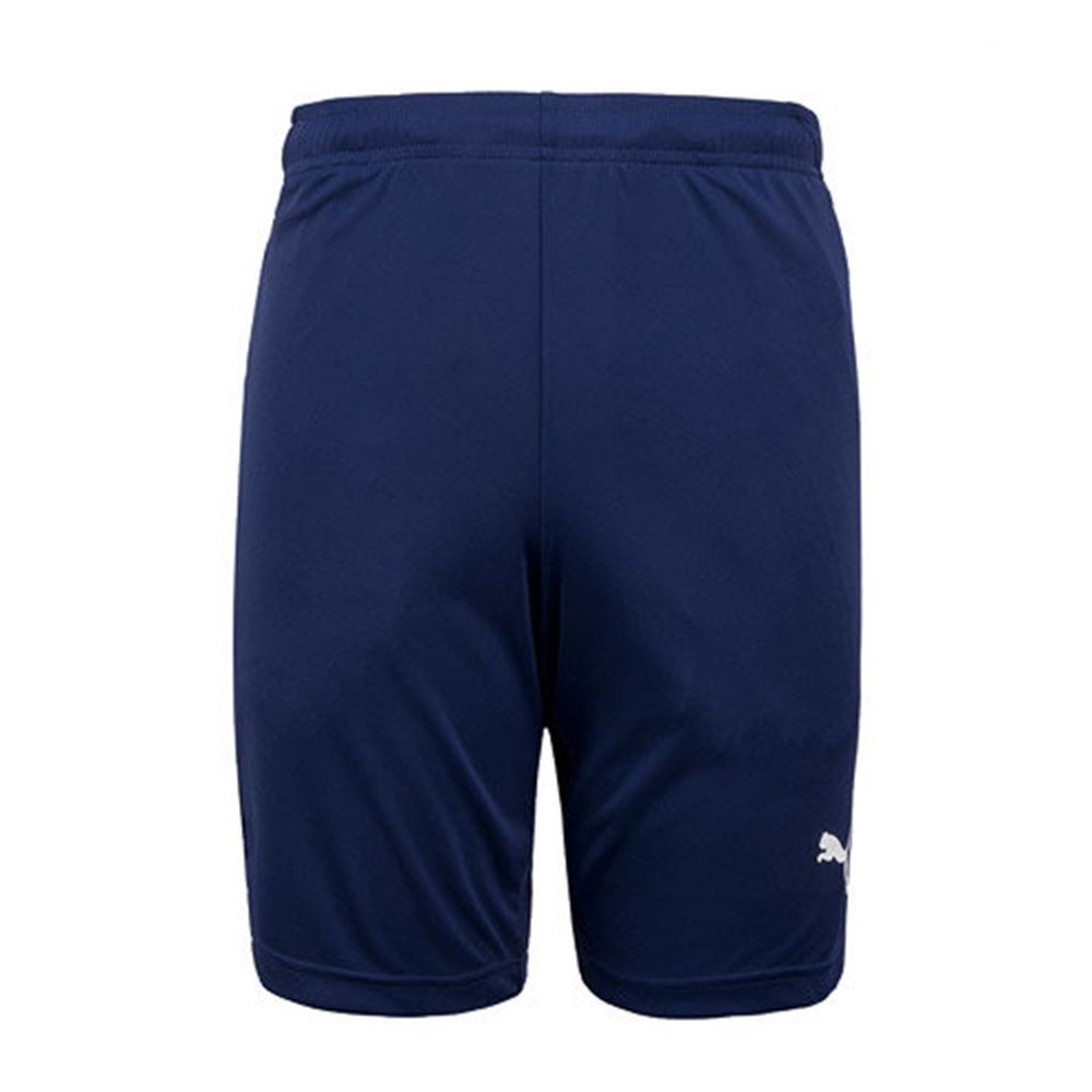 Шорты PUMA LIGA Training Shorts (SS18) 65531606