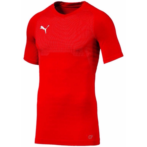 Футболка PUMA FINAL evoKNIT Jersey (SS18) 70344701