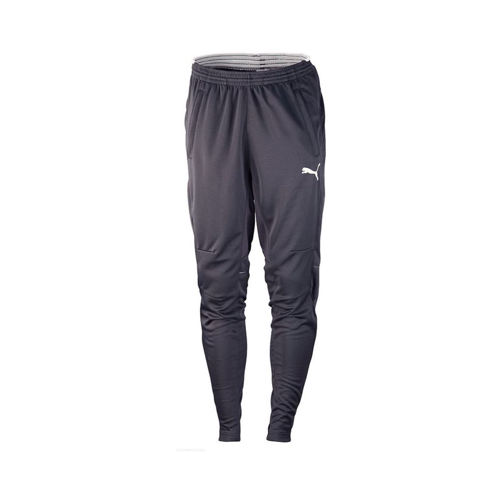 Штаны PUMA TRAINING PANTS (SS14) 653824371