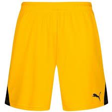 Шорты PUMA TEAM SHORTS 701275071