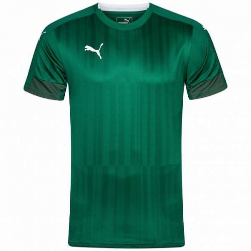 Футболка PUMA TOURNAMENT SS 702201051