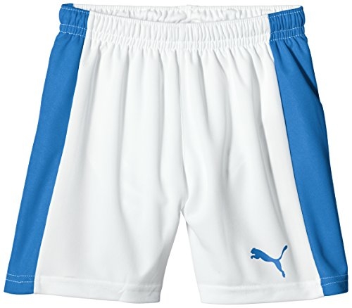 Шорты PUMA Pitch Shorts WithInnerbrief (SS15) 702075131