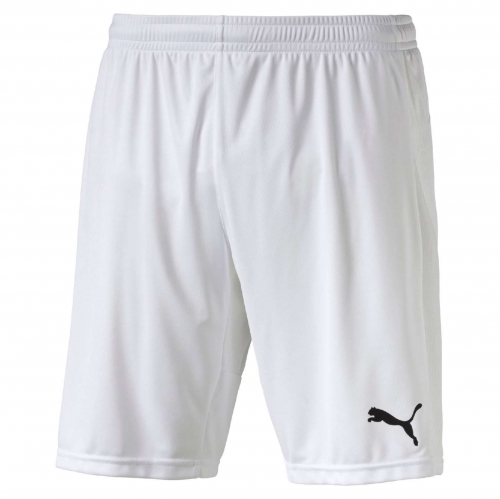 Шорты PUMA TRIUMPHANT 702208161