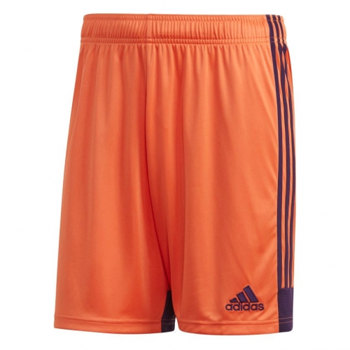 Шорты ADIDAS TASTIGO19 SHORT DP3253