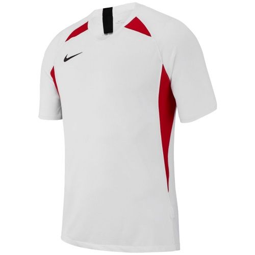 ФутболкаNIKE DRY LEGEND JSY SS (SP19) AJ0998-101