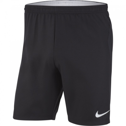 Шорты NIKE DRY LSR IV SHORT W (SP19) AJ1245-010