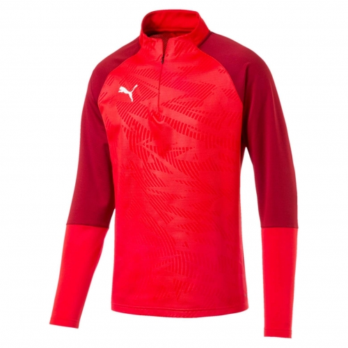 Свитер PUMA CUP Training 1 4 Zip T Core (SS19) 65601801