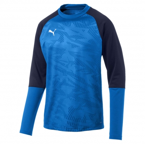 Свитер PUMA CUP Training Sweat Core (SS19) 65602102