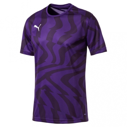 Футболка PUMA CUP Jersey Core (SS19) 70377510