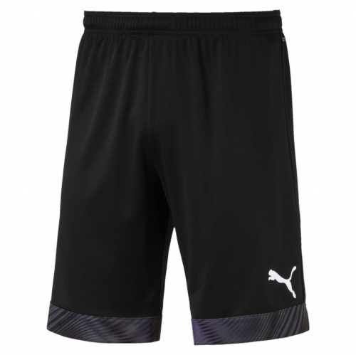 Шорты PUMA CUP SHORTS (SS19) 70403403