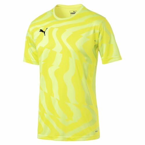 Футболка PUMA CUP Jersey Core (SS19) 70377546