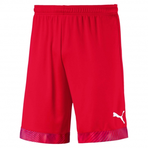 Шорты PUMA CUP SHORTS (SS19) 70403401