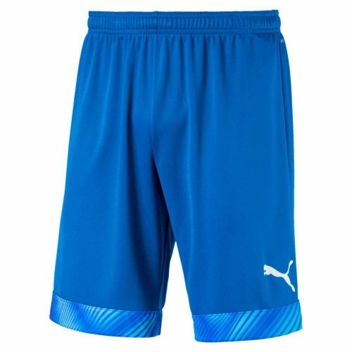 Шорты PUMA CUP SHORTS (SS19) 70403402