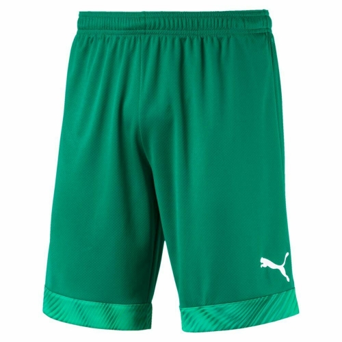 Шорты PUMA CUP SHORTS (SS19) 70403405