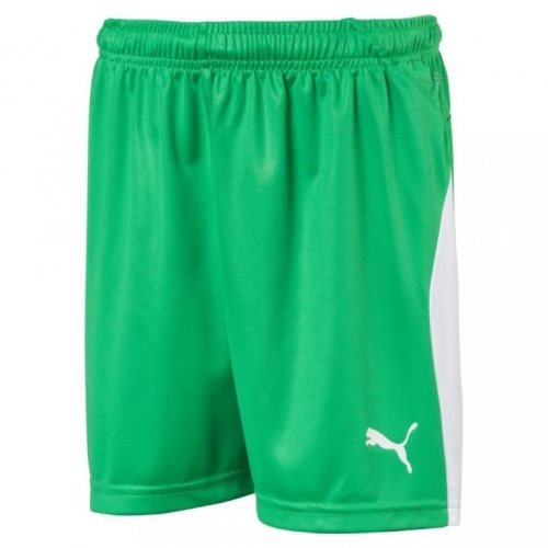 Шорты PUMA LIGA SHORTS JR 70343335