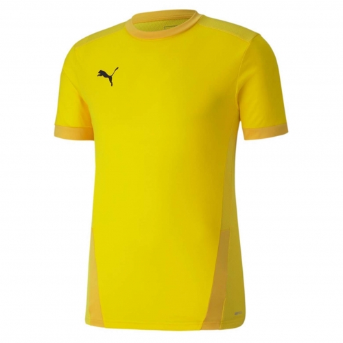 Футболка PUMA teamGOAL 23 Jersey (SS20) 70417107