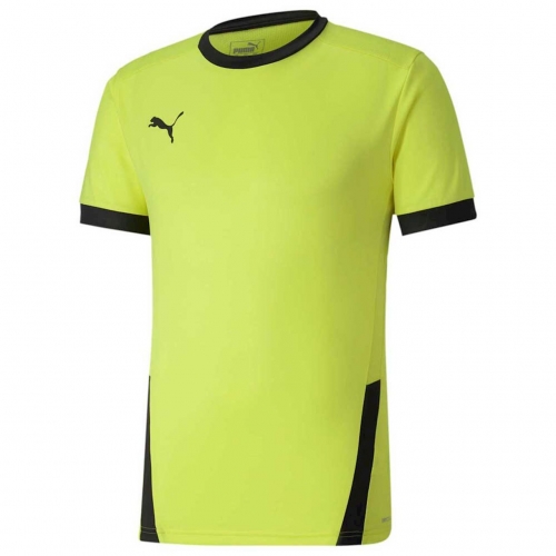Футболка PUMA teamGOAL 23 Jersey (SS20) 70417123