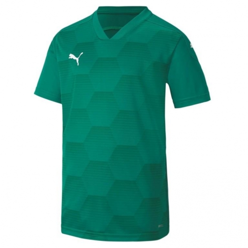 Футболка PUMA teamFINAL 21 Graphic Jersey (SS20) 70415005