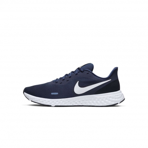 Кроссовки NIKE REVOLUTION 5 (SP20) BQ3204-400