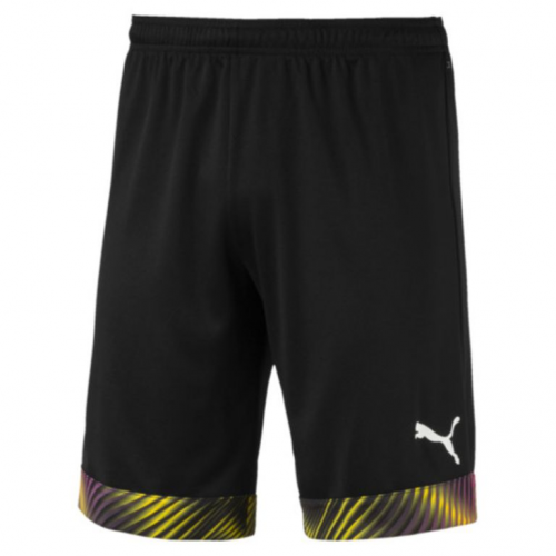 Шорты PUMA CUP SHORTS (SS19) 70403442