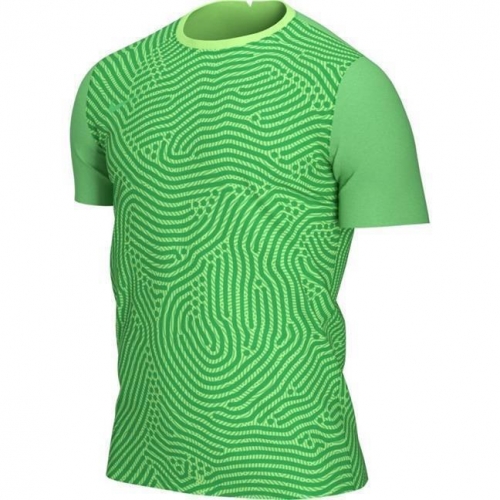 Вратарский свитер NIKE GARDIEN III GK JSY SS (FA20) BV6714-398