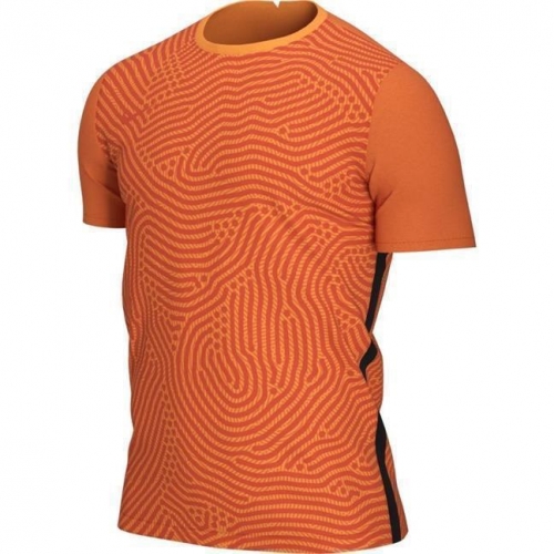 Вратарский свитер NIKE GARDIEN III GK JSY SS (FA20) BV6714-803