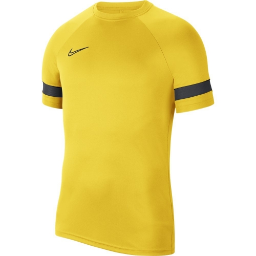 Футболка NIKE DF ACD21 TOP SS (SP21) CW6101-719