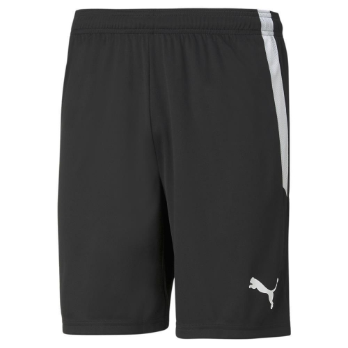 Шорты PUMA teamLIGA Shorts (AW21) 70492403