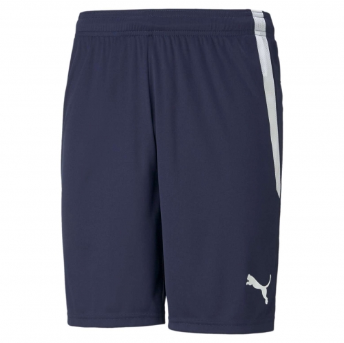 Шорты PUMA teamLIGA Shorts (AW21) 70492406
