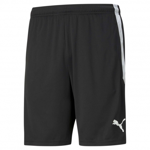 Шорты трен. PUMA teamLIGA Training Shorts (AW21) 65724903