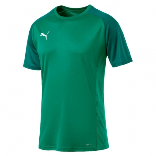 Футболка PUMA CUP Sideline Tee Core (SS19) 65605105