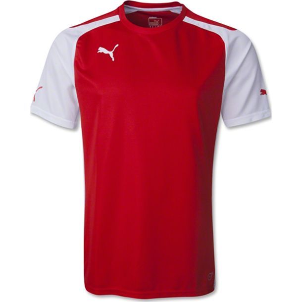 Футболка PUMA SPEED SS SHIRT (SS14) 701906011