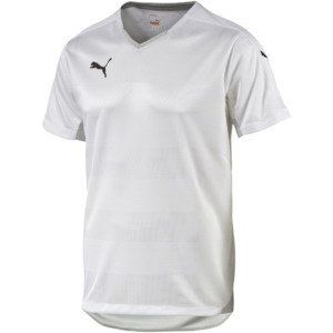 Футболка PUMA Stadium Shortsleeved Shirt (SS15) 702064041