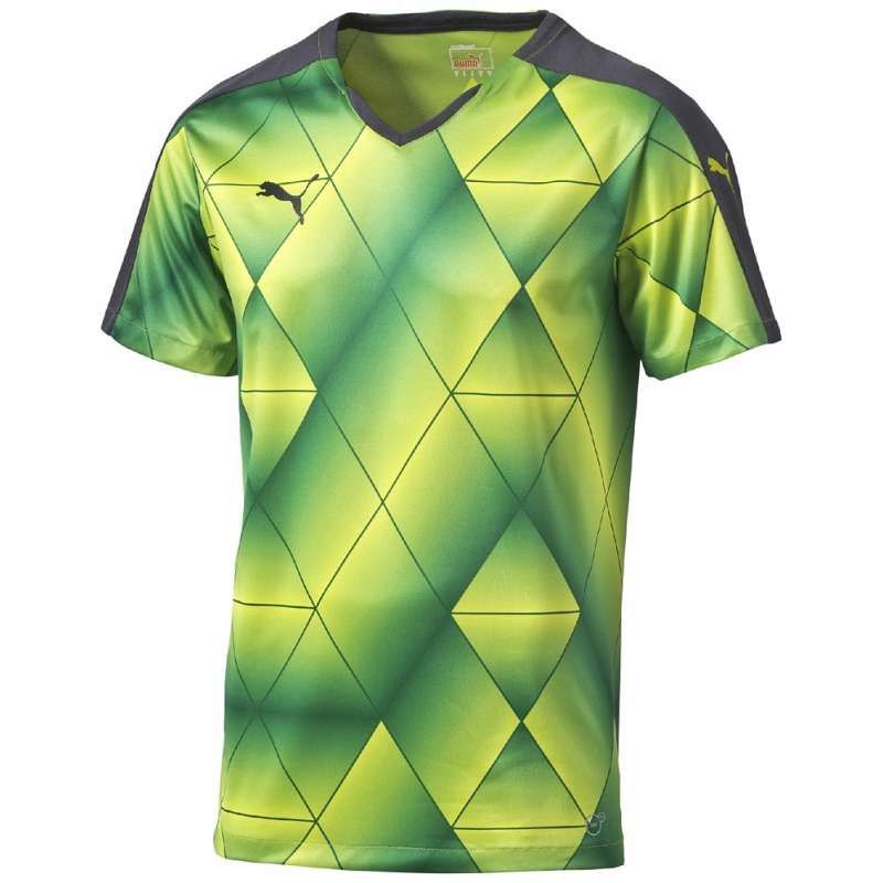 Футболка PUMA Swerve Shortsleeved Shirt (SS15) 702065541