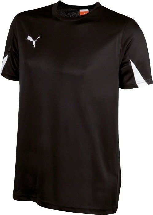 Футболка PUMA TEAM SHIRT 70126903