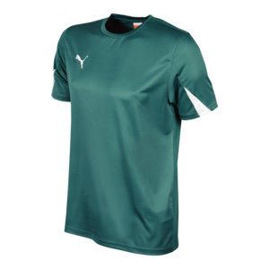 Футболка PUMA TEAM SHIRT 701269051