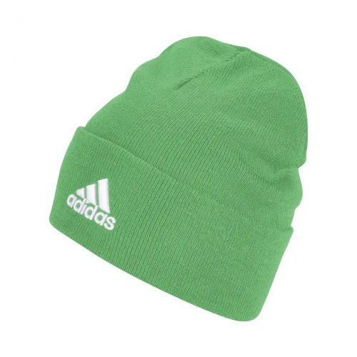 Шапка ADIDAS LOGO WOOLIE (FW21) GS2106