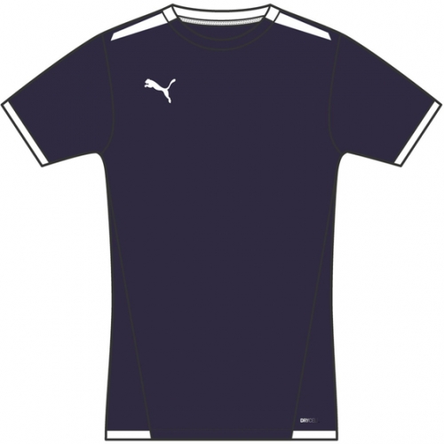 Детская Детская футболка PUMA teamLIGA Jersey Jr 70492506