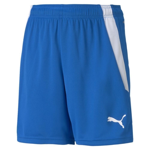 Шорты PUMA teamLIGA Shorts Jr 70493102