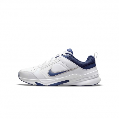 Кроссовки NIKE DEFYALLDAY (FA21) DJ1196-100