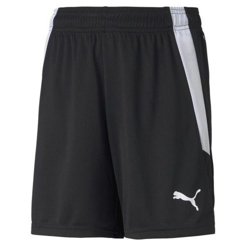 Шорты PUMA teamLIGA Shorts Jr 70493103