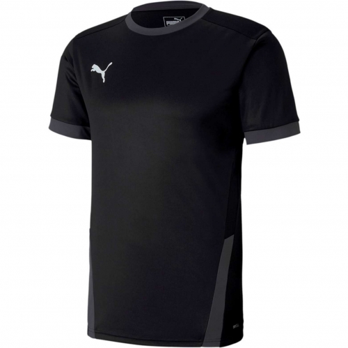Футболка PUMA teamGOAL 23 Jersey (SS20) 70417103